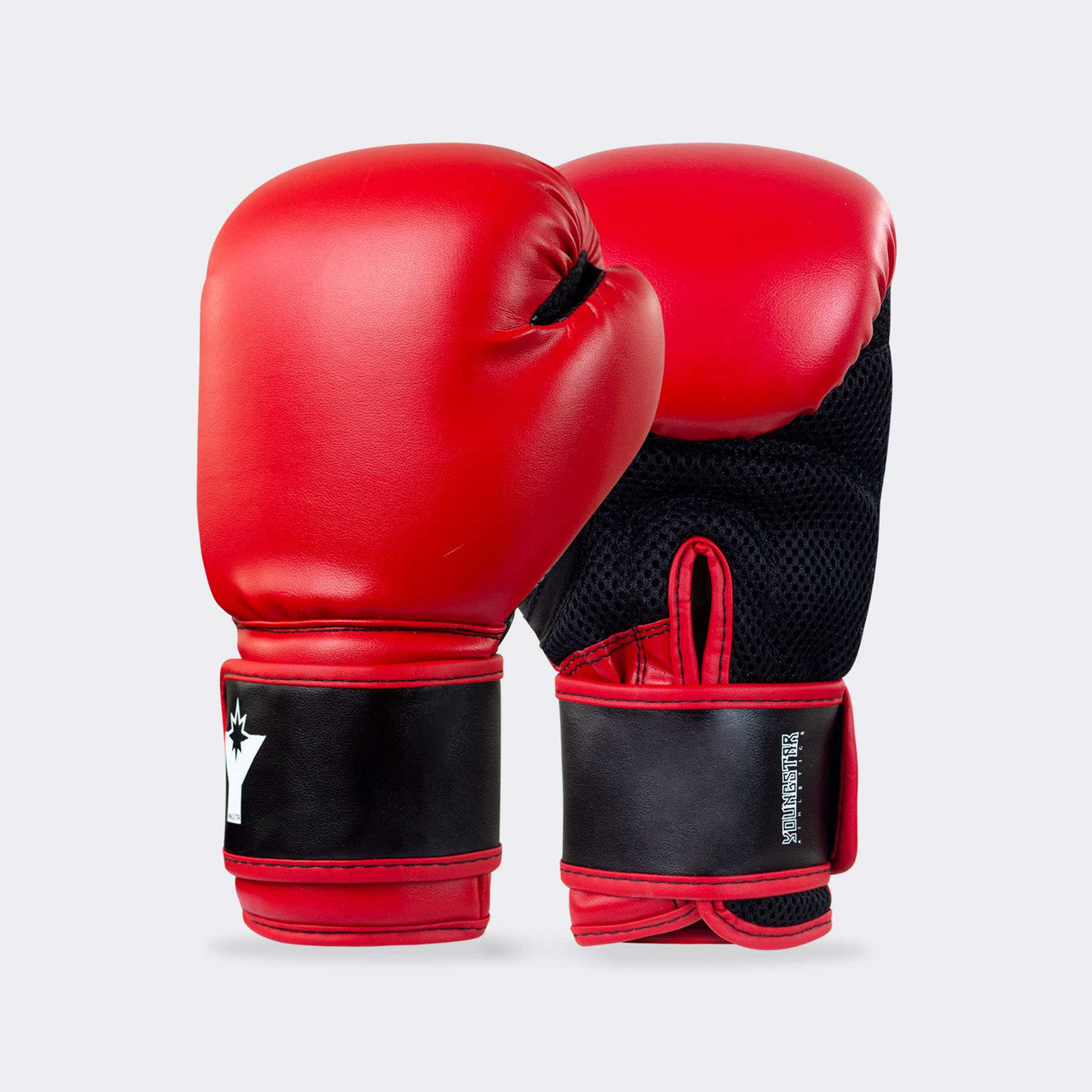 Youngstar 6oz. Youth Boxing Gloves